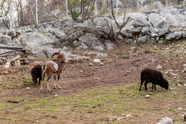 Similar image 22492846