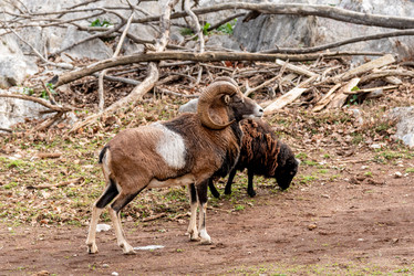 Similar image 22492875