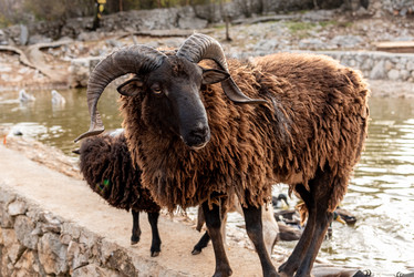 Similar image 22492890