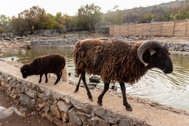 Similar image 22492920