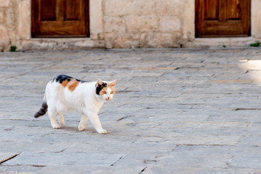 Similar image 22492935