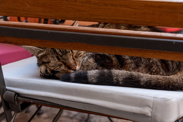 Similar image 22492965