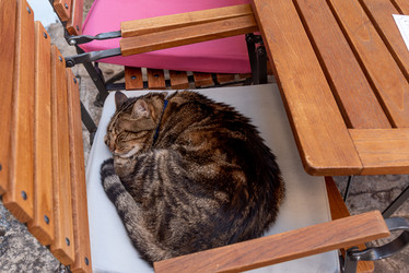 Similar image 22492981