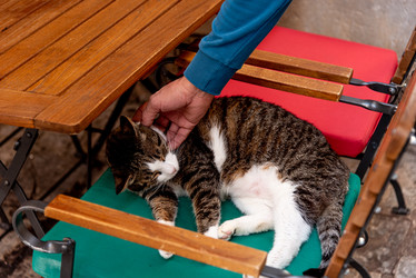 Similar image 22493010