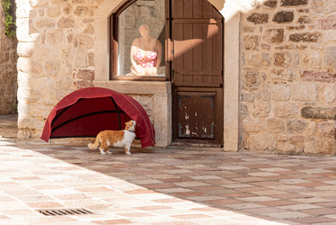 Similar image 22493026