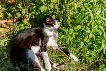 Similar image 22493041