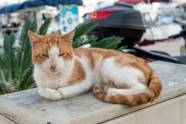 Similar image 22493070