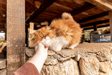 Similar image 22493160