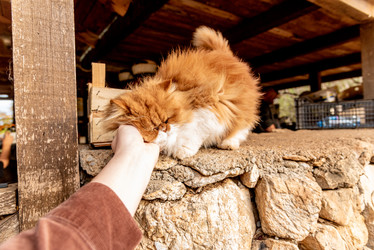 Similar image 22493175