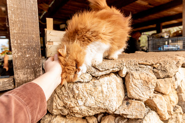 Similar image 22493191