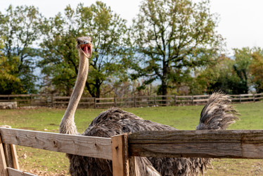 Similar image 22493236