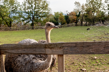 Similar image 22493281