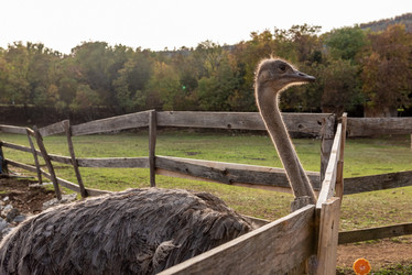 Similar image 22493325