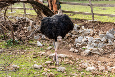 Similar image 22493340