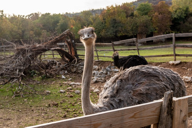 Similar image 22493356