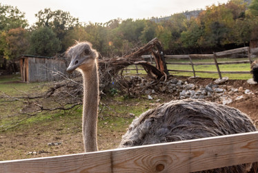 Similar image 22493385