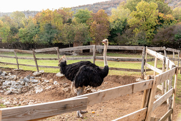 Similar image 22493401