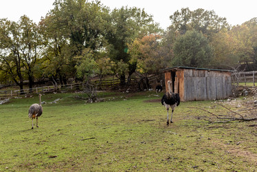 Similar image 22493417