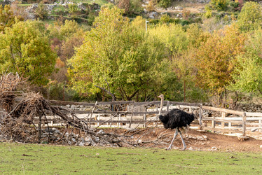 Similar image 22493431