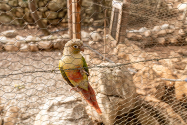 Similar image 22493461