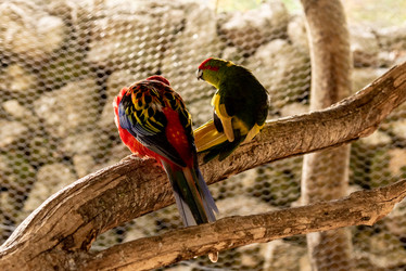 Similar image 22493492