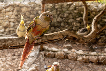 Similar image 22493507