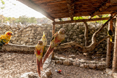 Similar image 22493536