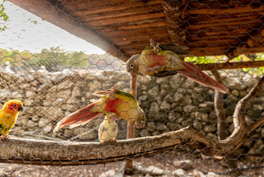 Similar image 22493552