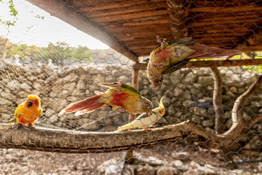 Similar image 22493568