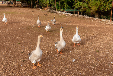 Similar image 22493612