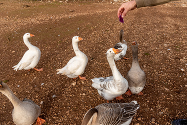 Similar image 22493627