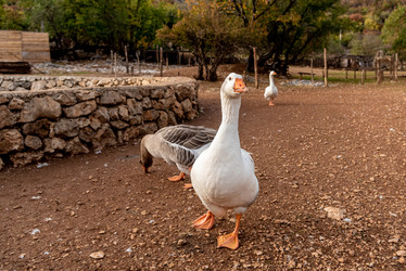 Similar image 22493642