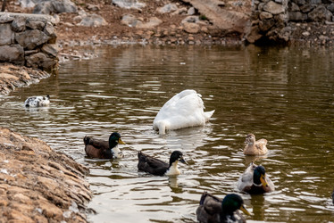 Similar image 22493659