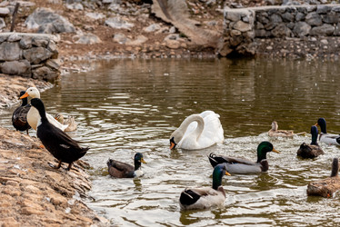 Similar image 22493674