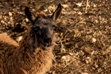 Similar image 22492876