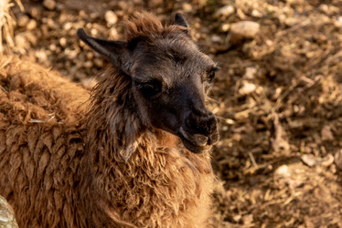 Similar image 22492891