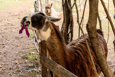 Similar image 22492921