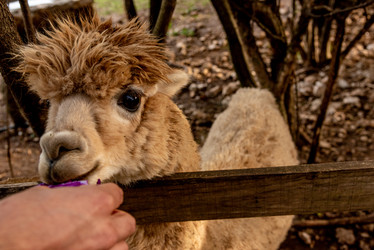 Similar image 22492936