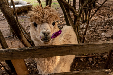 Similar image 22492966