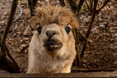 Similar image 22492982