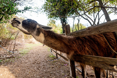 Similar image 22493011