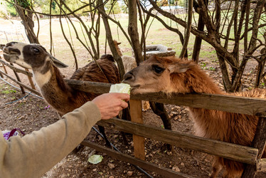 Similar image 22493027