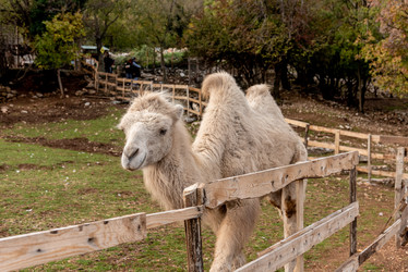 Similar image 22493056