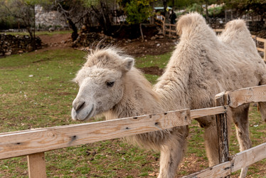 Similar image 22493071