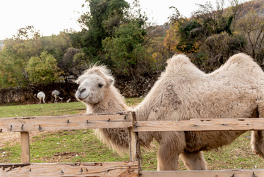 Similar image 22493101