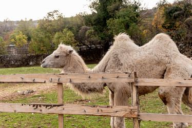 Similar image 22493115