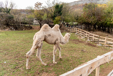 Similar image 22493132