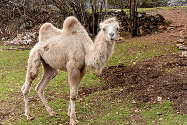 Similar image 22493161