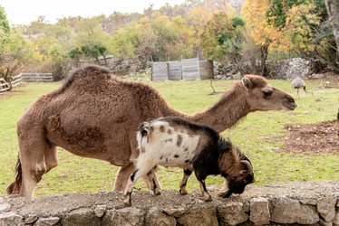 Similar image 22493176