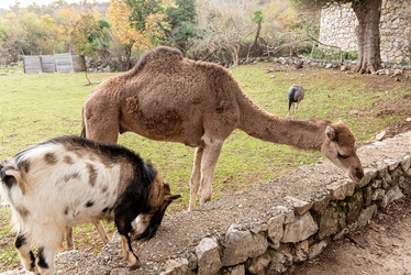 Similar image 22493192